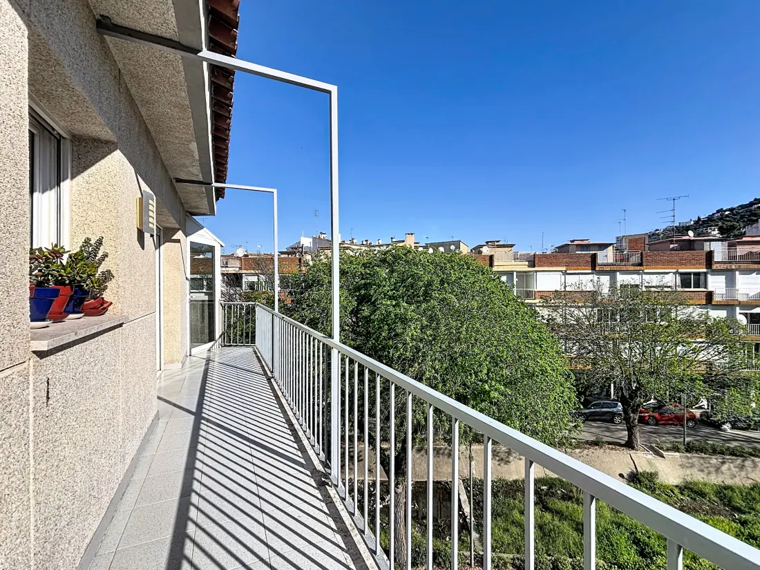 Location de Vacances Roses 1284