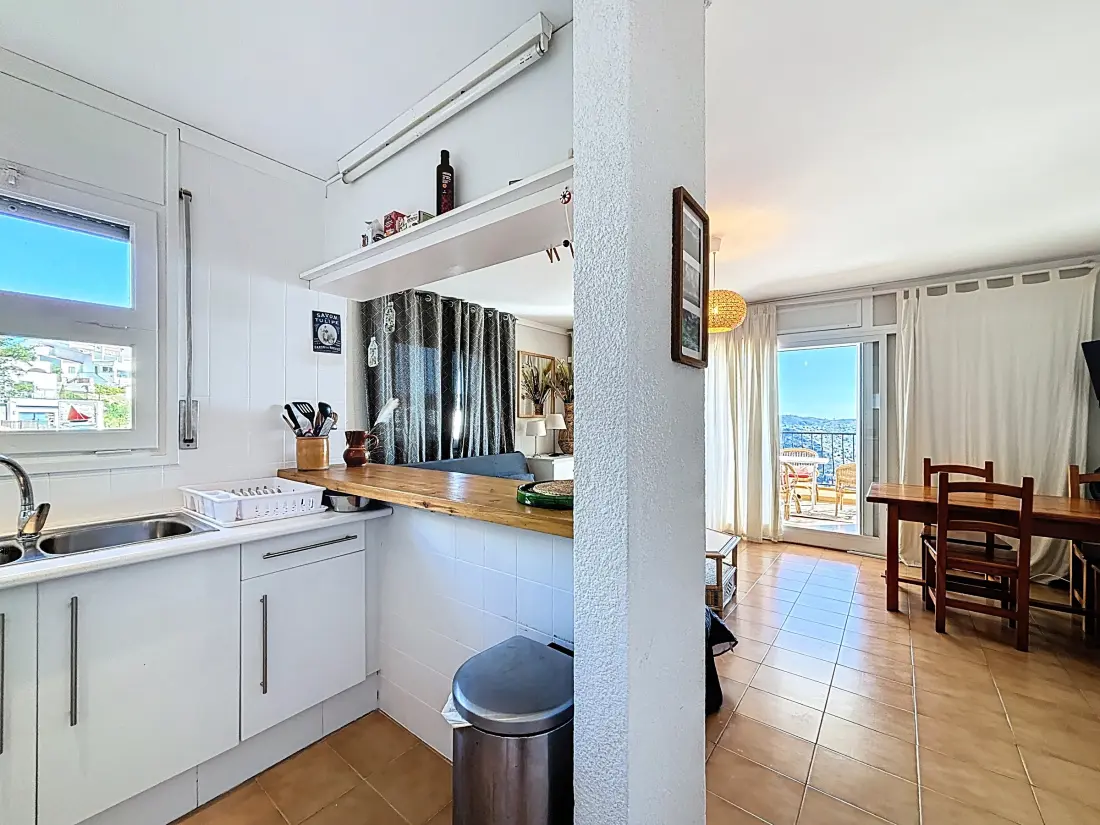 Location de Vacances Roses 1288
