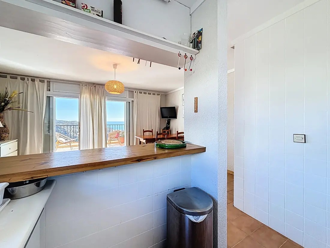 Location de Vacances Roses 1288