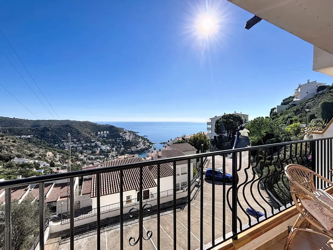 Location de Vacances Roses 1288