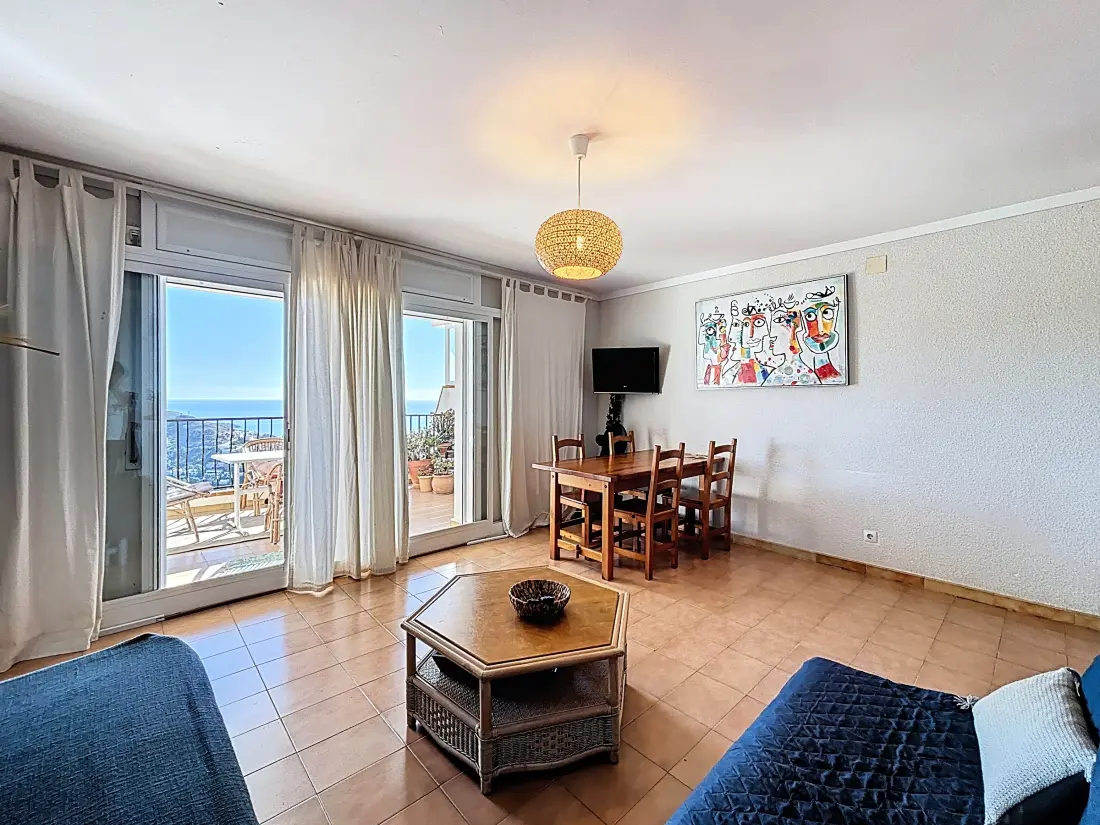 Location de Vacances Roses 1288