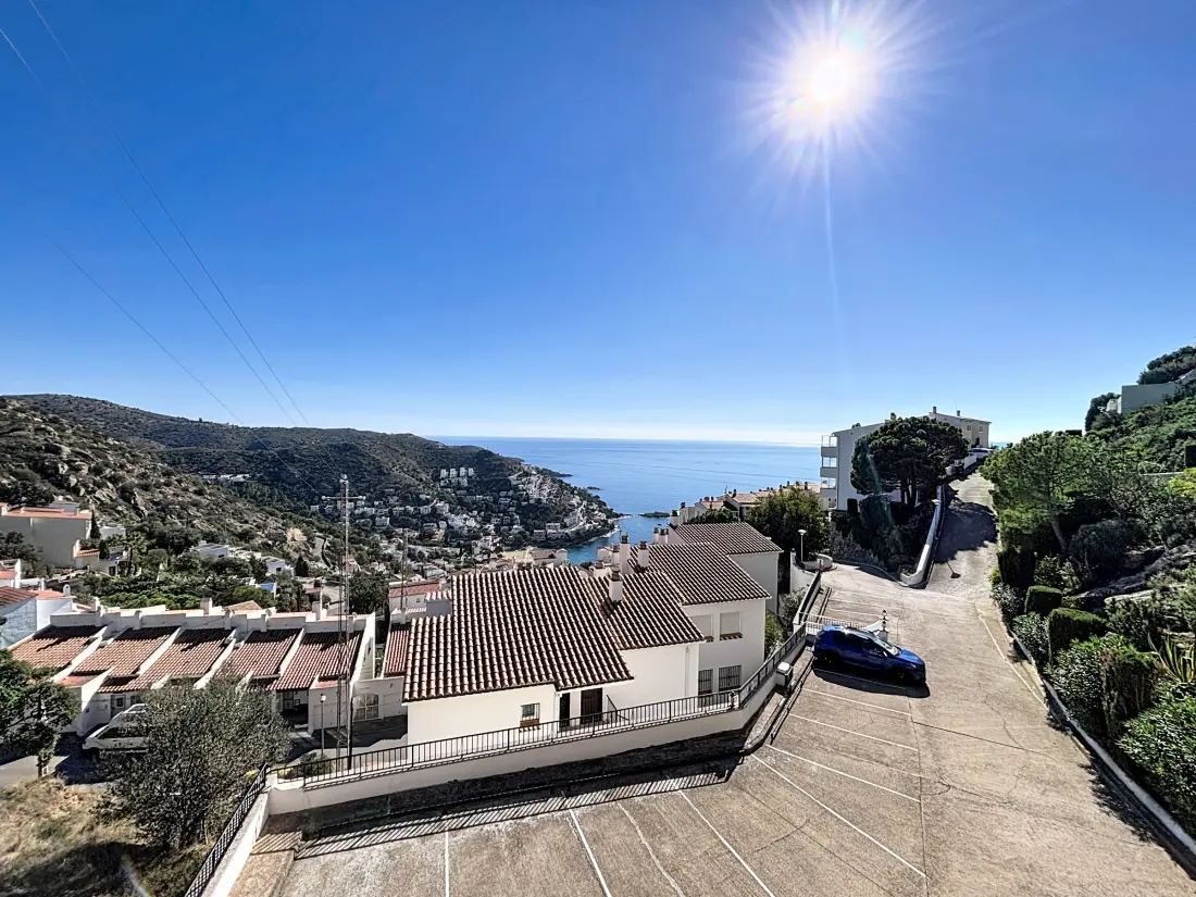 Location de Vacances Roses 1288