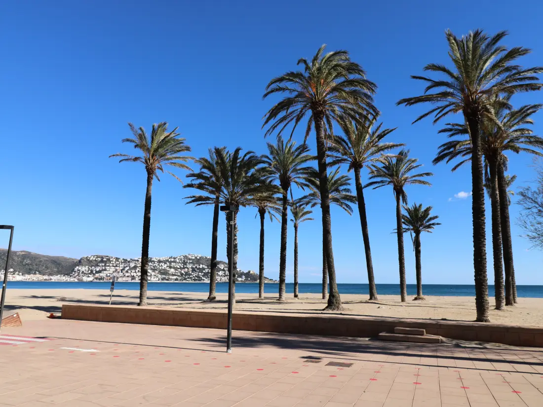 Location de Vacances Roses 1289
