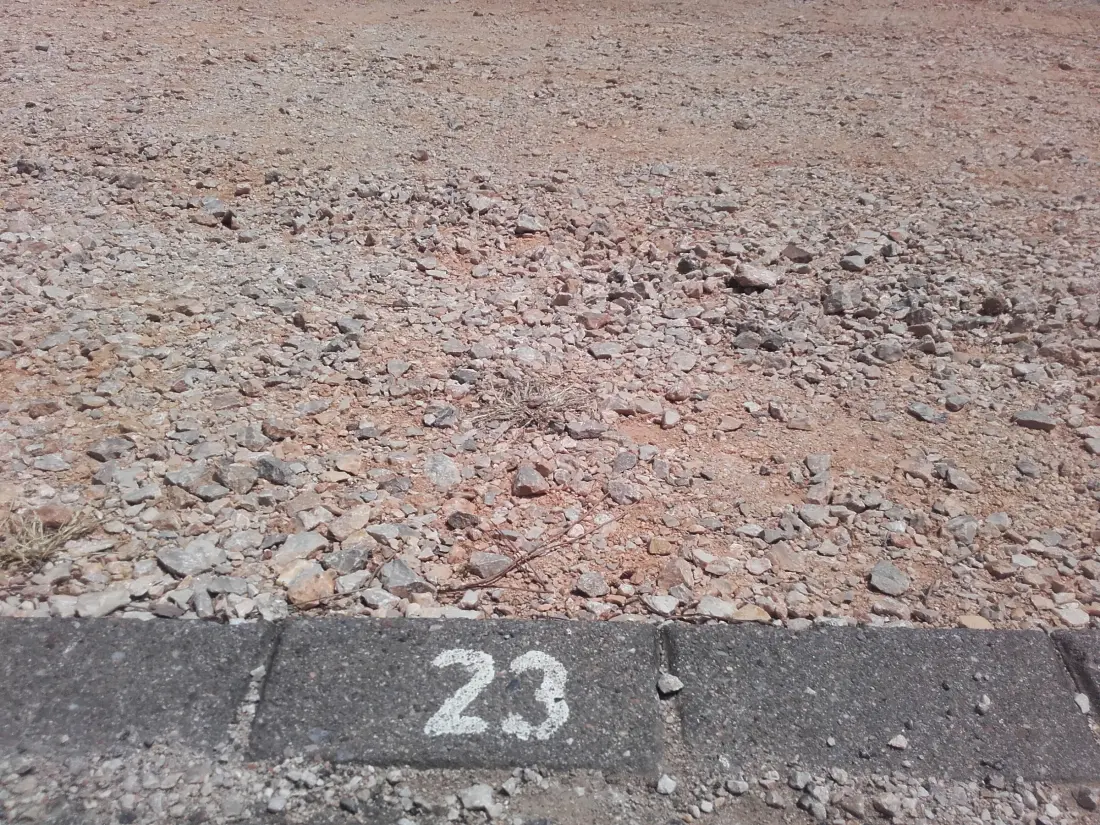 Location de Vacances Roses 1289