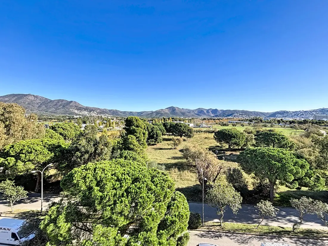 Location de Vacances Roses 1289