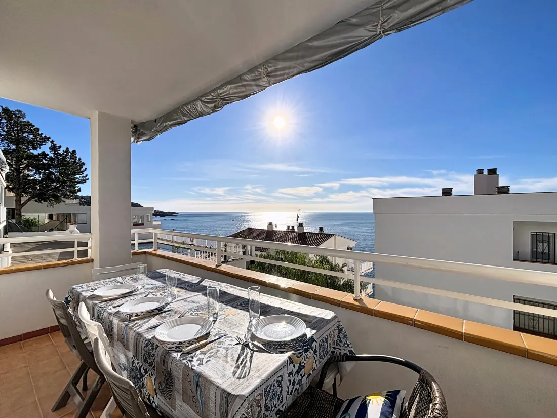 Location de Vacances Roses 1292