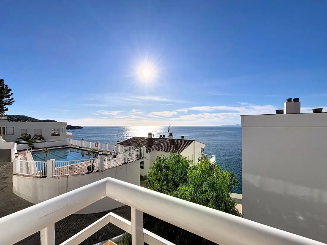 Location de Vacances Roses 1292
