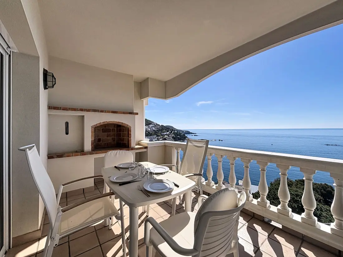 Location de Vacances Roses 1295