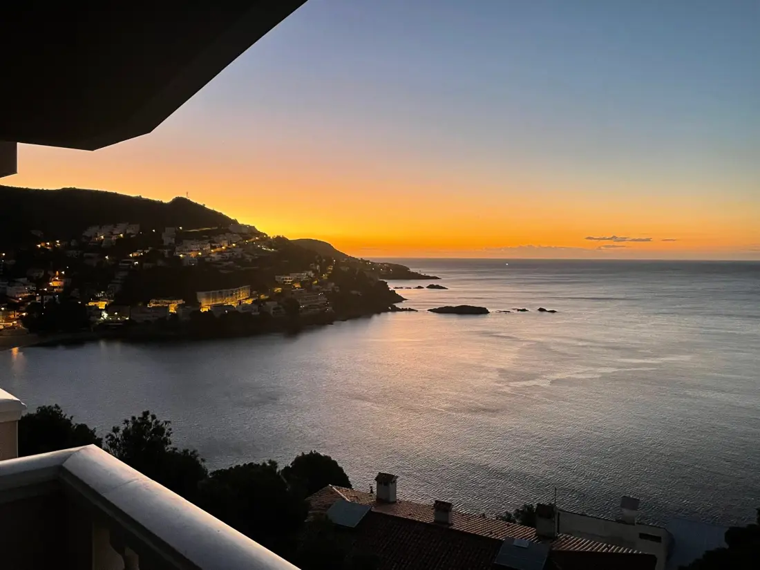 Location de Vacances Roses 1295