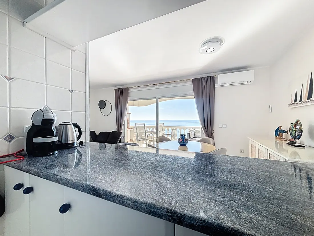 Location de Vacances Roses 1295