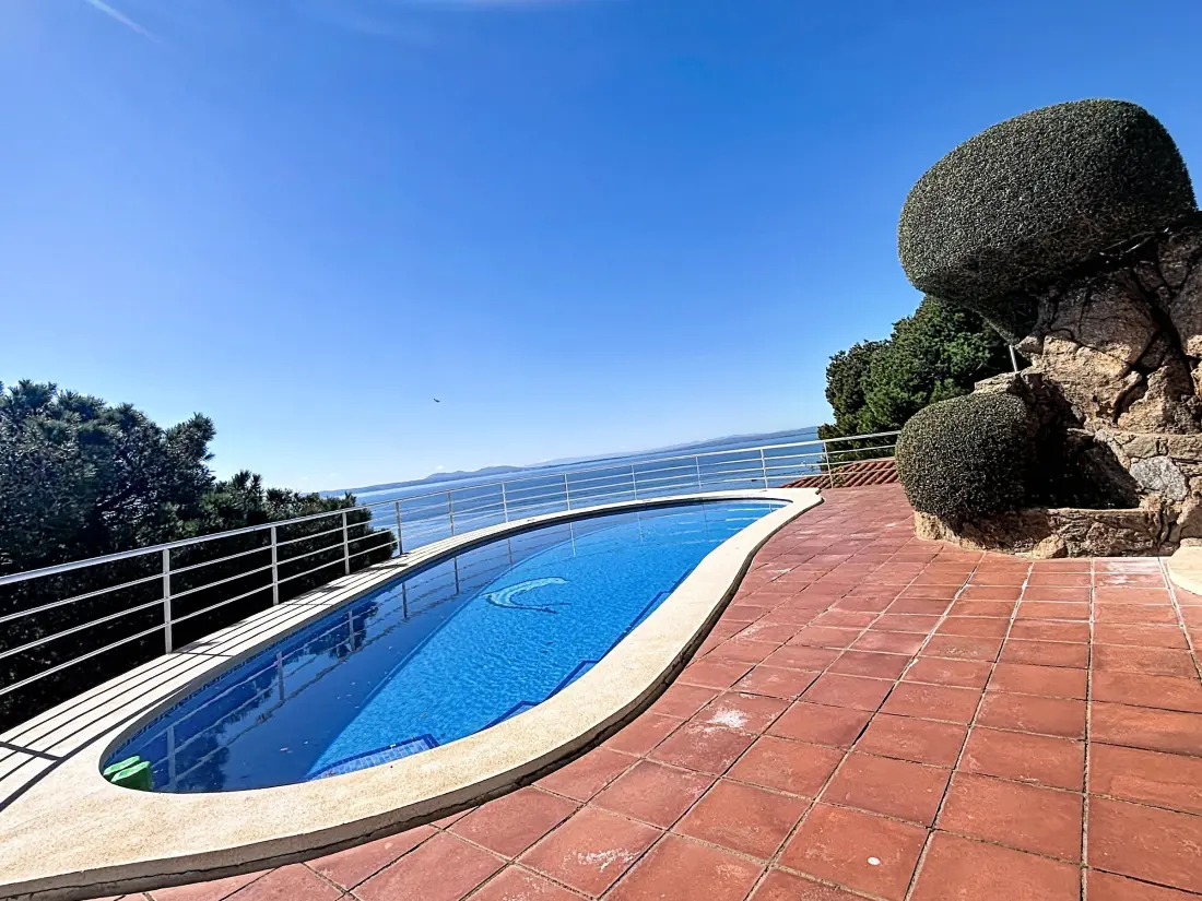 Location de Vacances Roses 1295