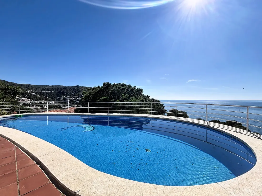 Location de Vacances Roses 1295