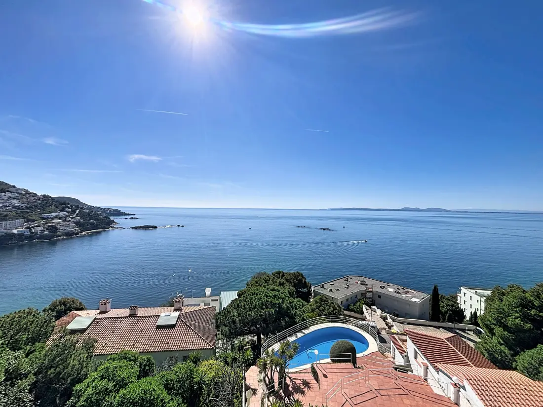 Location de Vacances Roses 1295