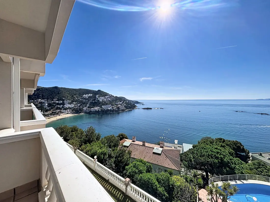 Location de Vacances Roses 1295