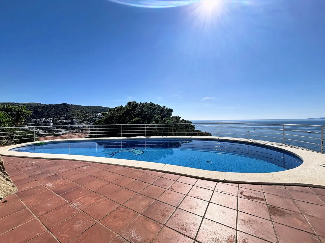 Location de Vacances Roses 1295