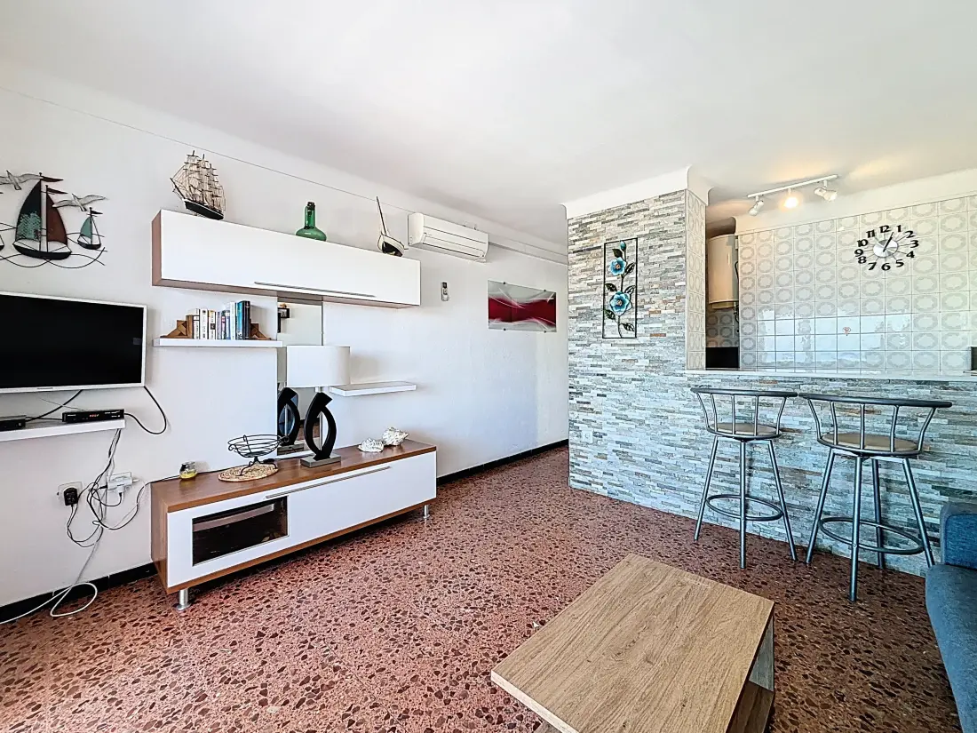 Location de Vacances Roses 1296