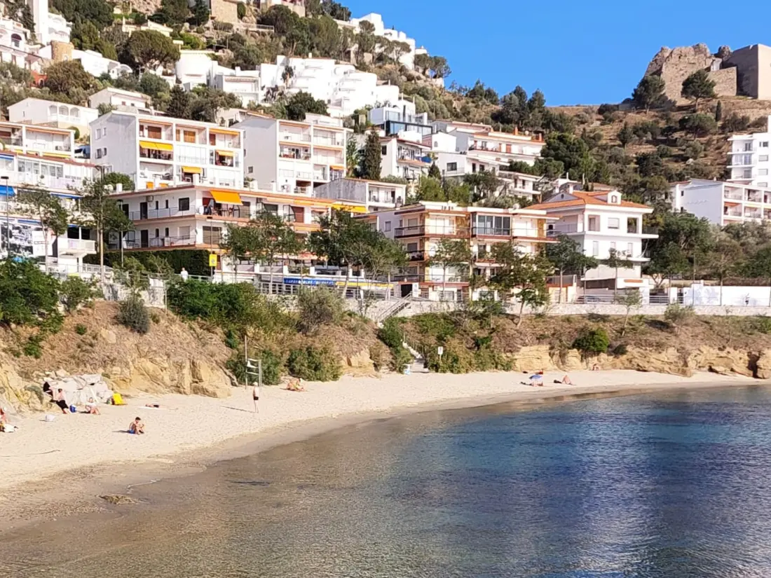 Location de Vacances Roses 1296