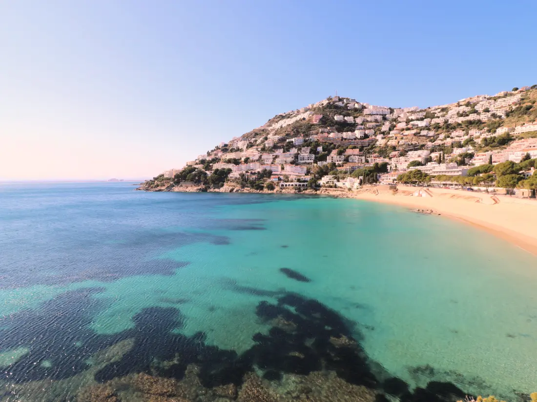 Location de Vacances Roses 1297