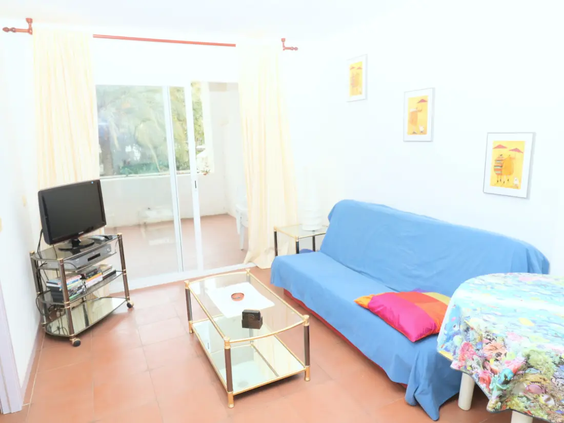 Location de Vacances Roses 1297