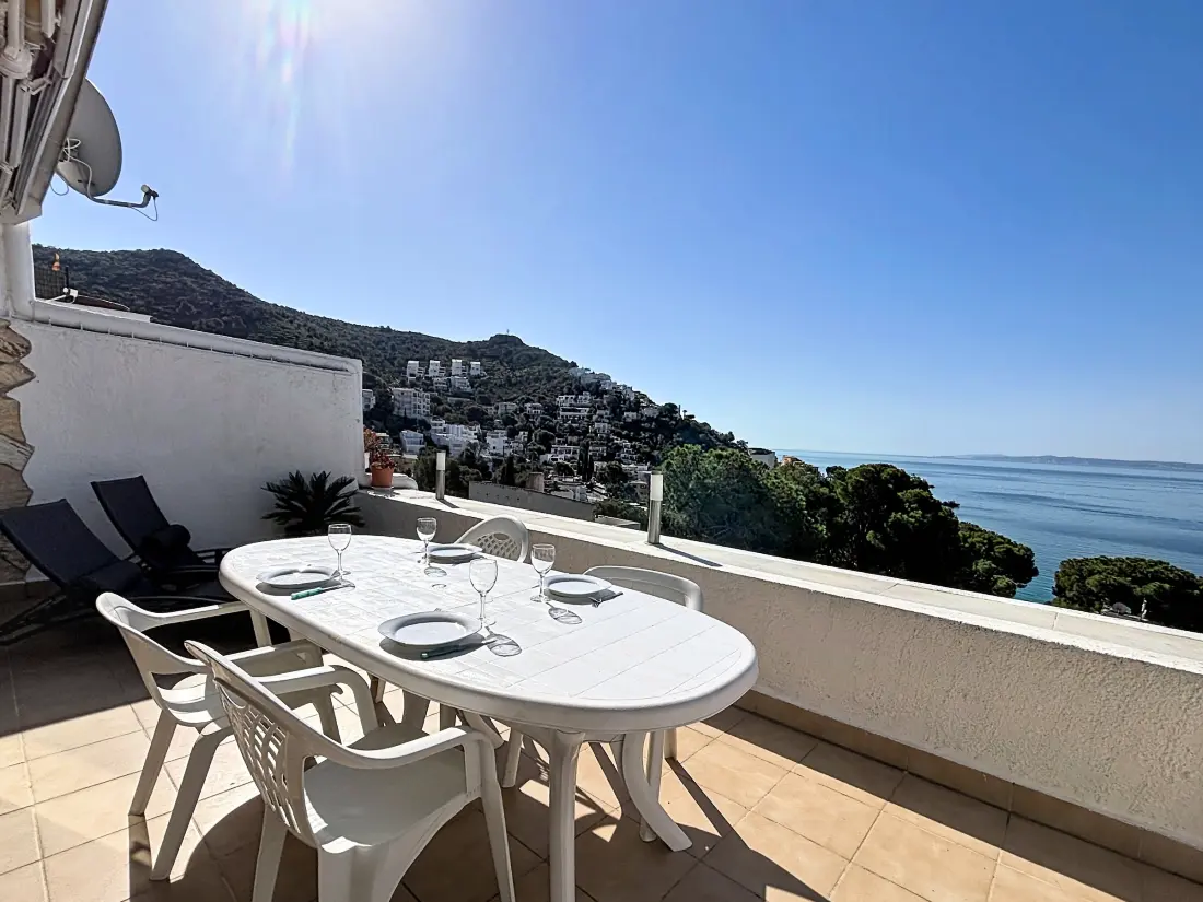 Location de Vacances Roses 1298