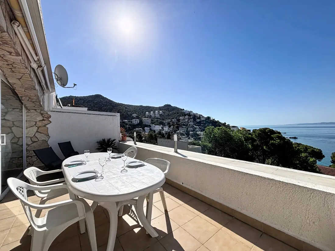 Location de Vacances Roses 1298