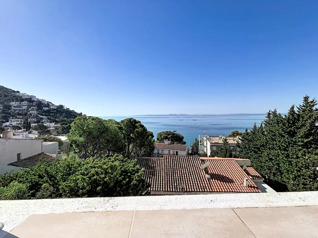 Location de Vacances Roses 1298
