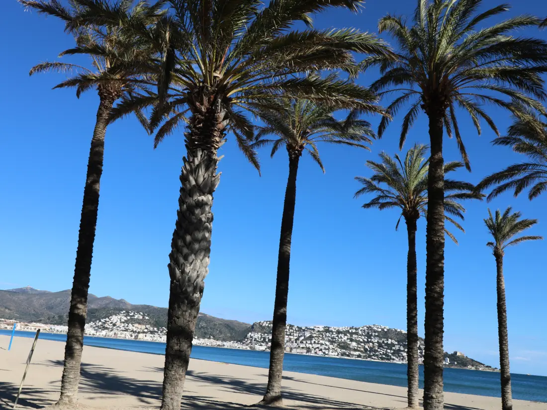 Location de Vacances Roses 1301