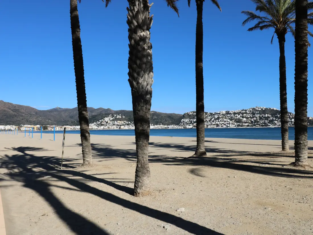 Location de Vacances Roses 1303