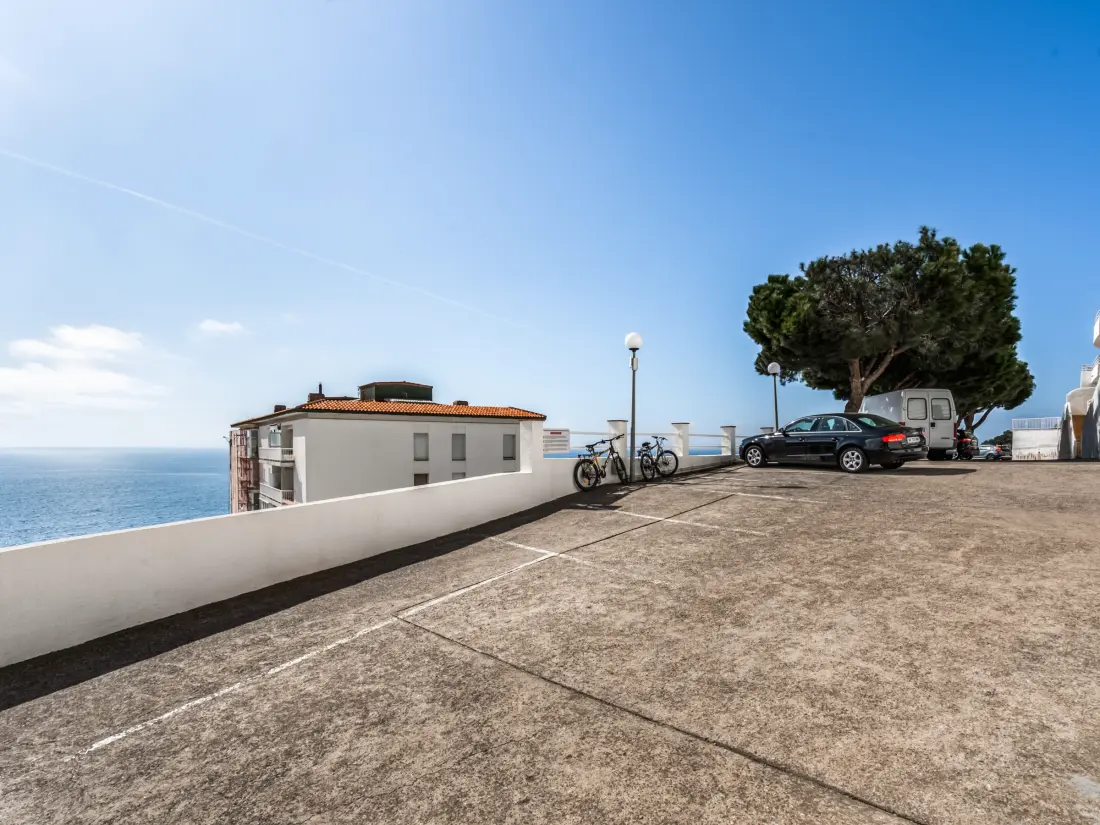 Location de Vacances Roses 1306