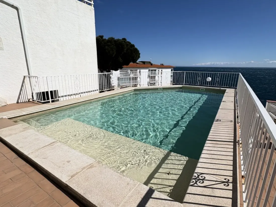 Location de Vacances Roses 1306