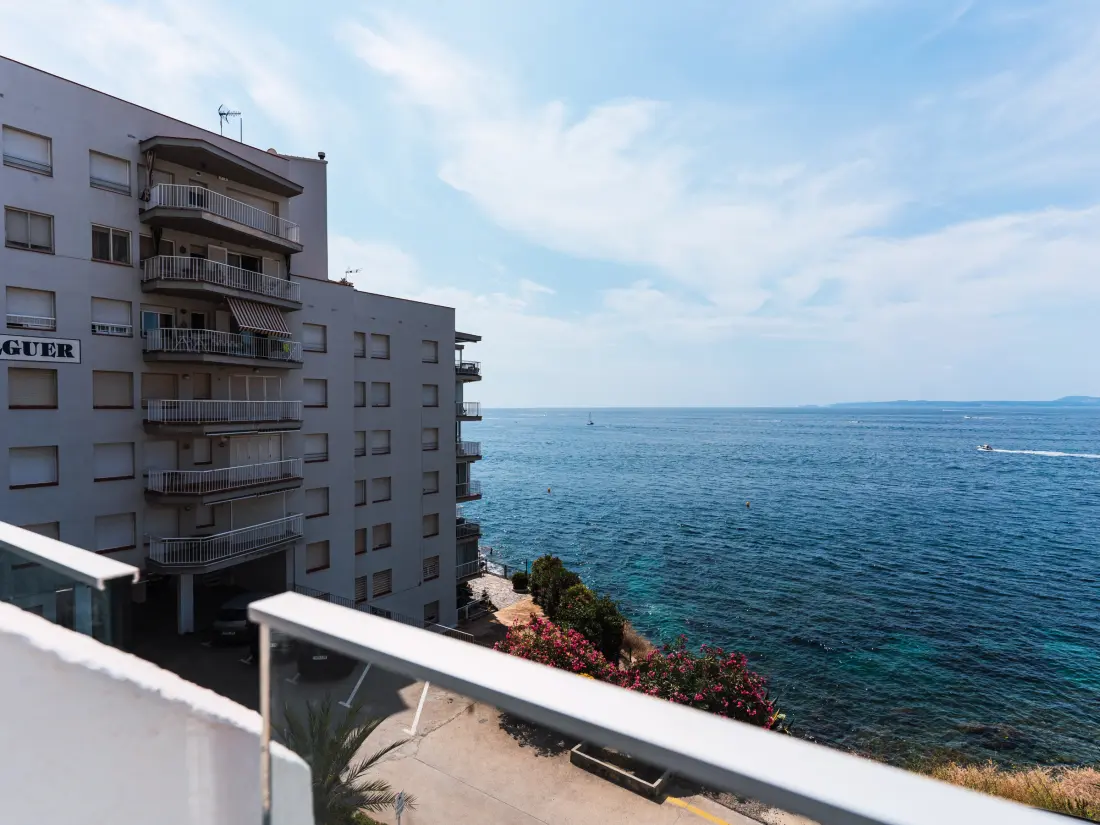 Location de Vacances Roses 1313