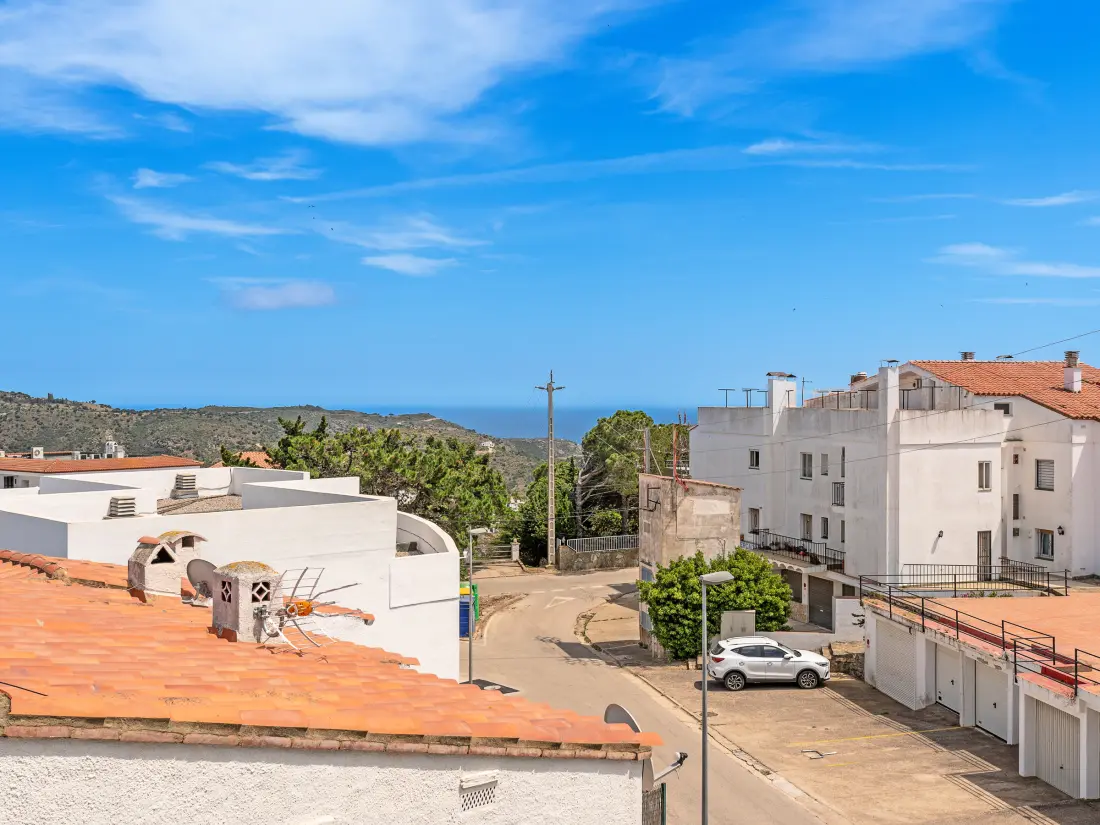Location de Vacances Roses 1316