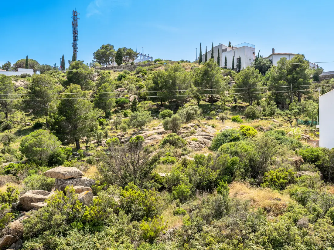 Location de Vacances Roses 1316
