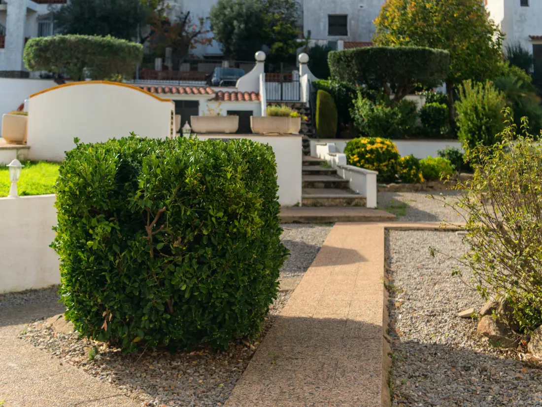 Location de Vacances Roses 1318
