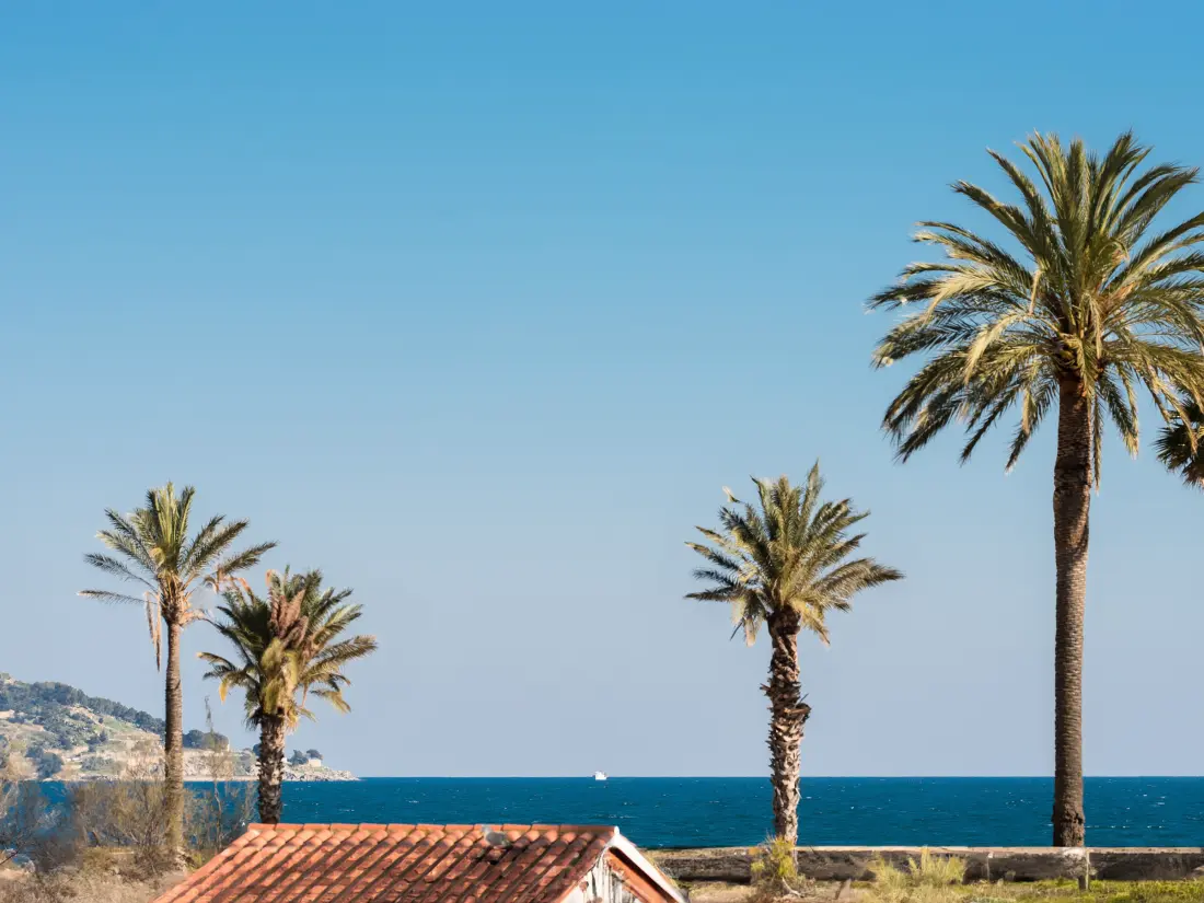 Location de Vacances Roses 1319