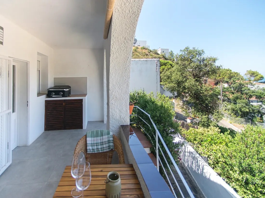 Location de Vacances Roses 1330