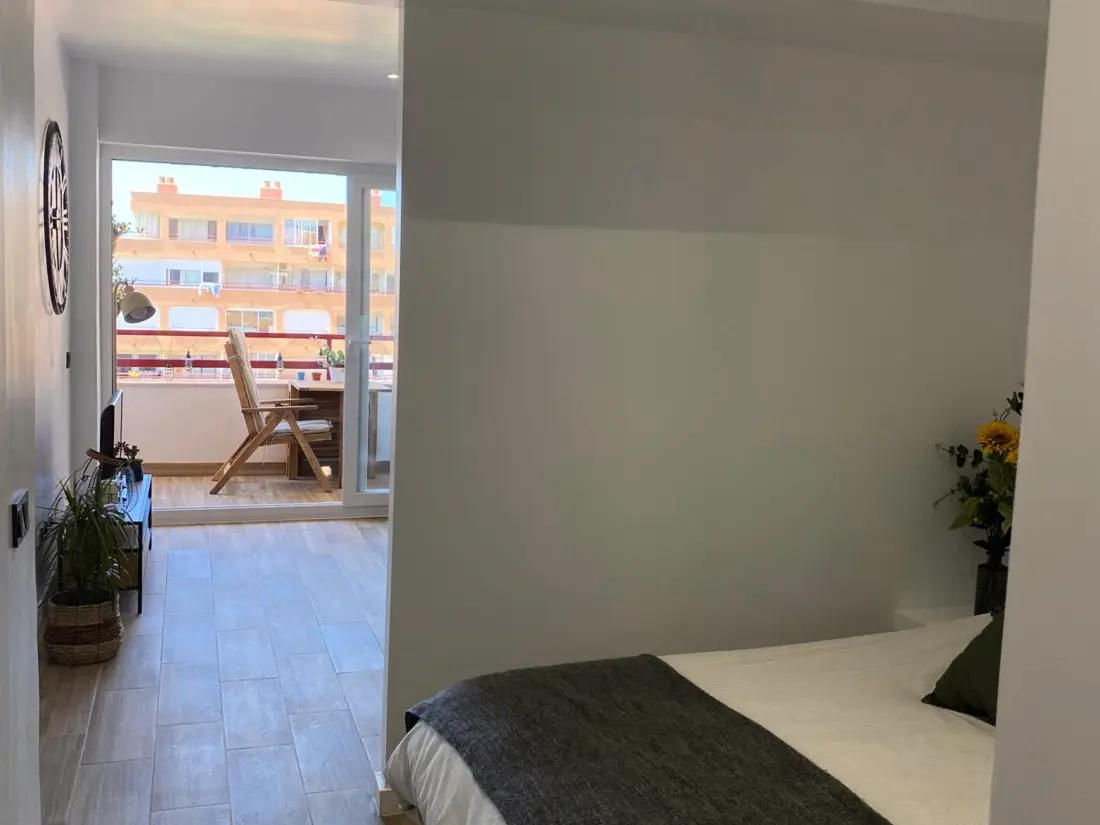 Location de Vacances Roses 1331