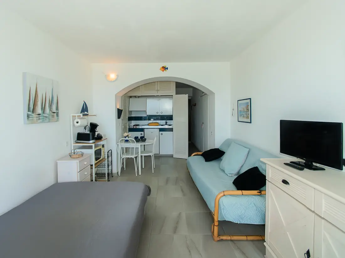 Location de Vacances Roses 1333
