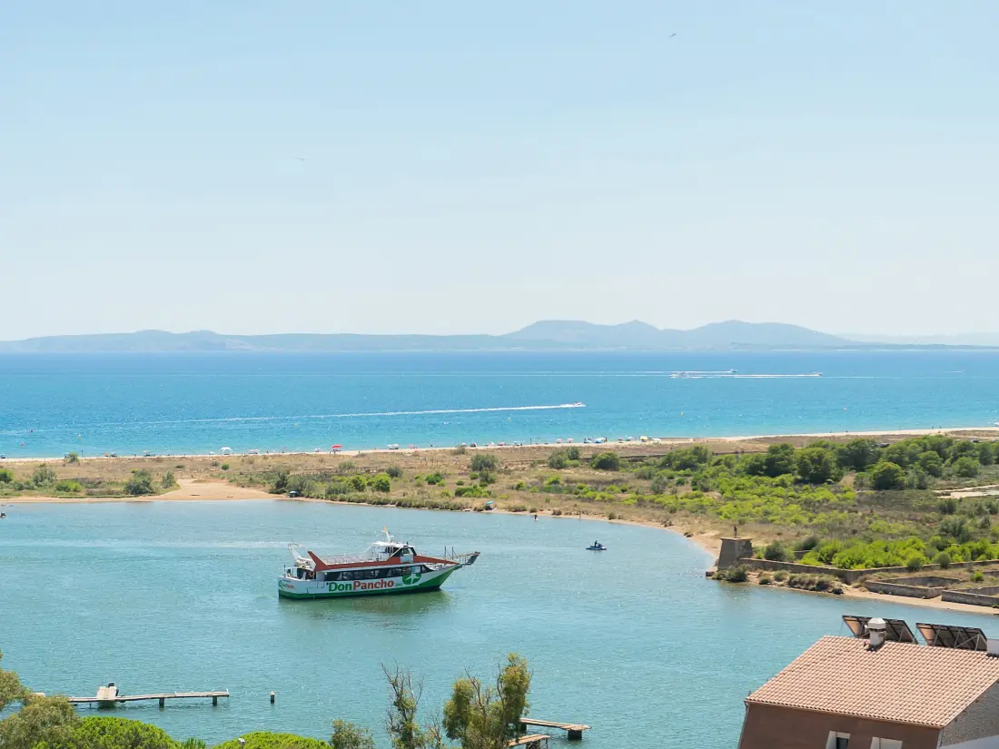 Location de Vacances Roses 1333