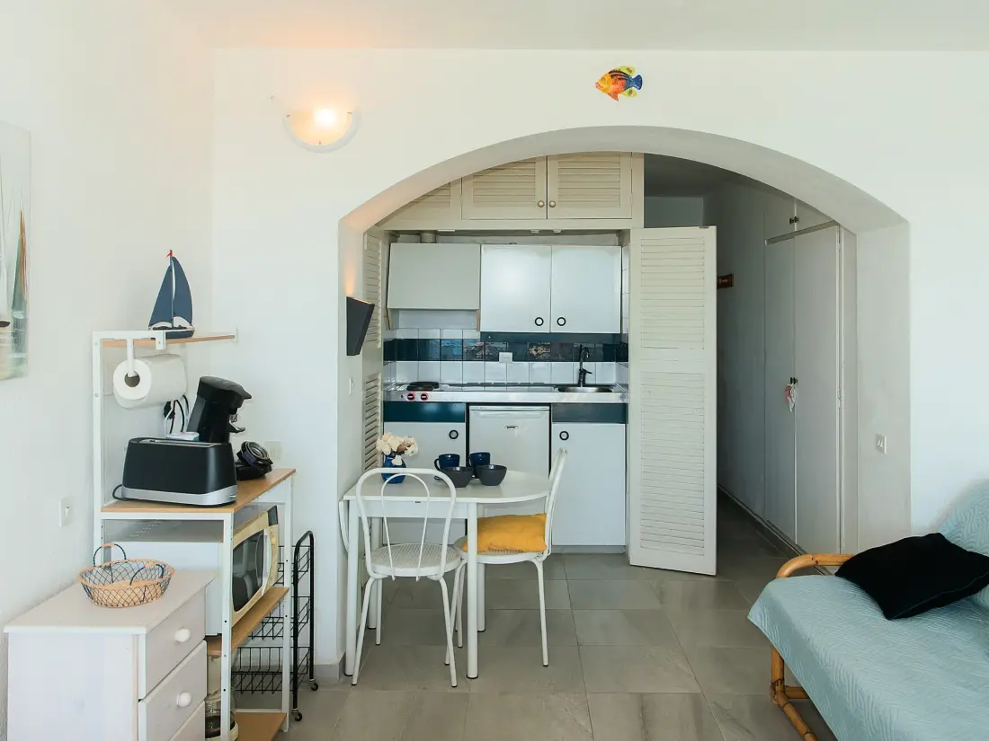 Location de Vacances Roses 1333