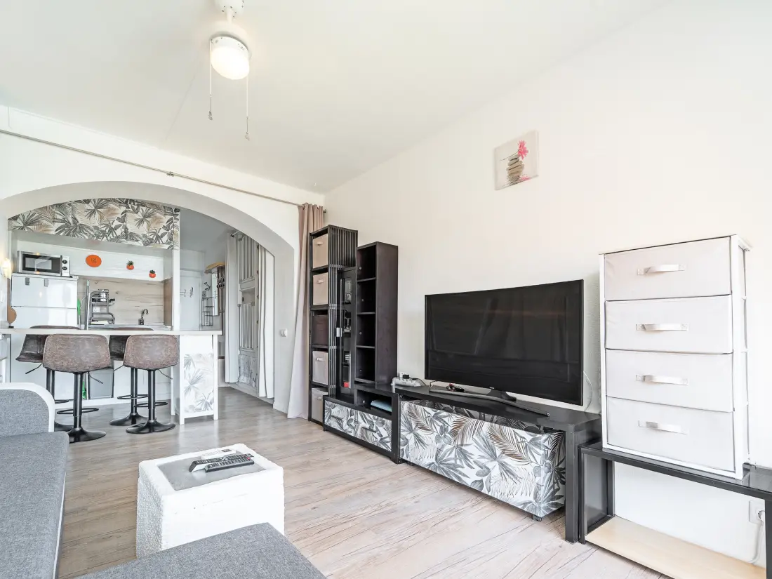 Location de Vacances Roses 1335