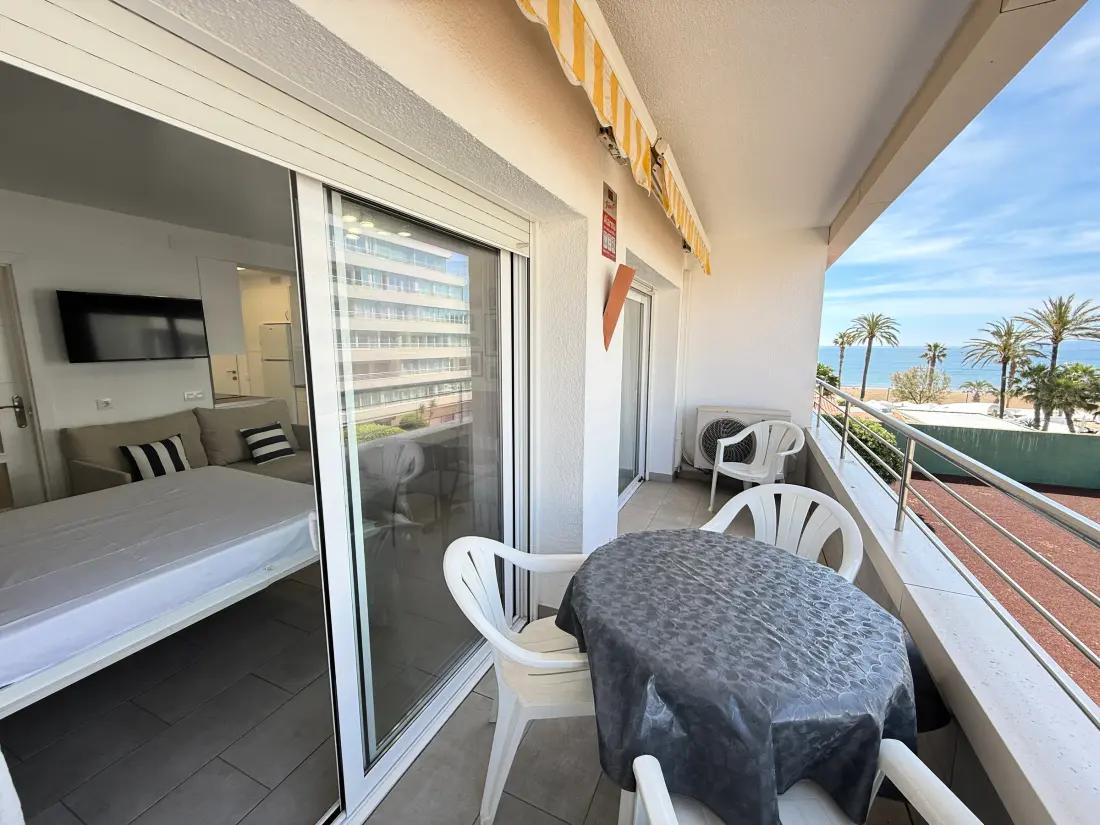 Location de Vacances Roses 1341