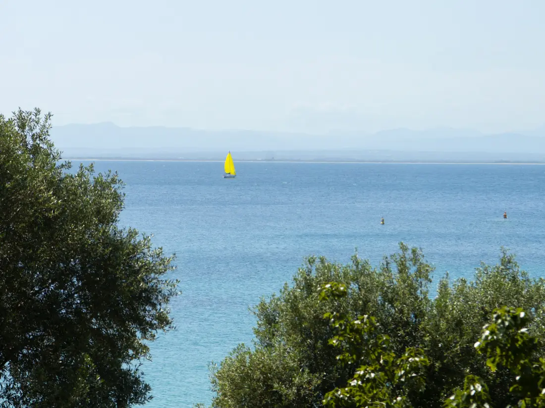 Location de Vacances Roses 1345