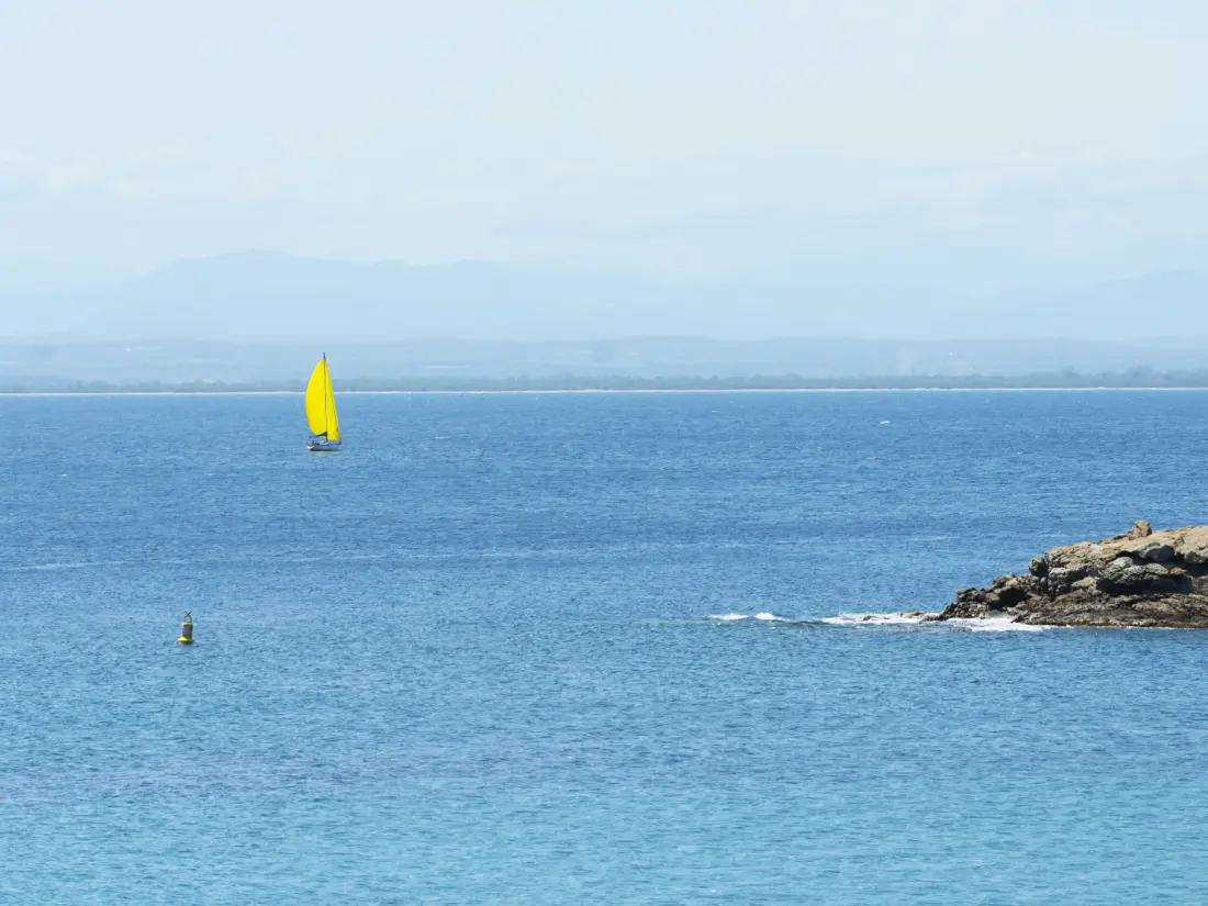 Location de Vacances Roses 1346