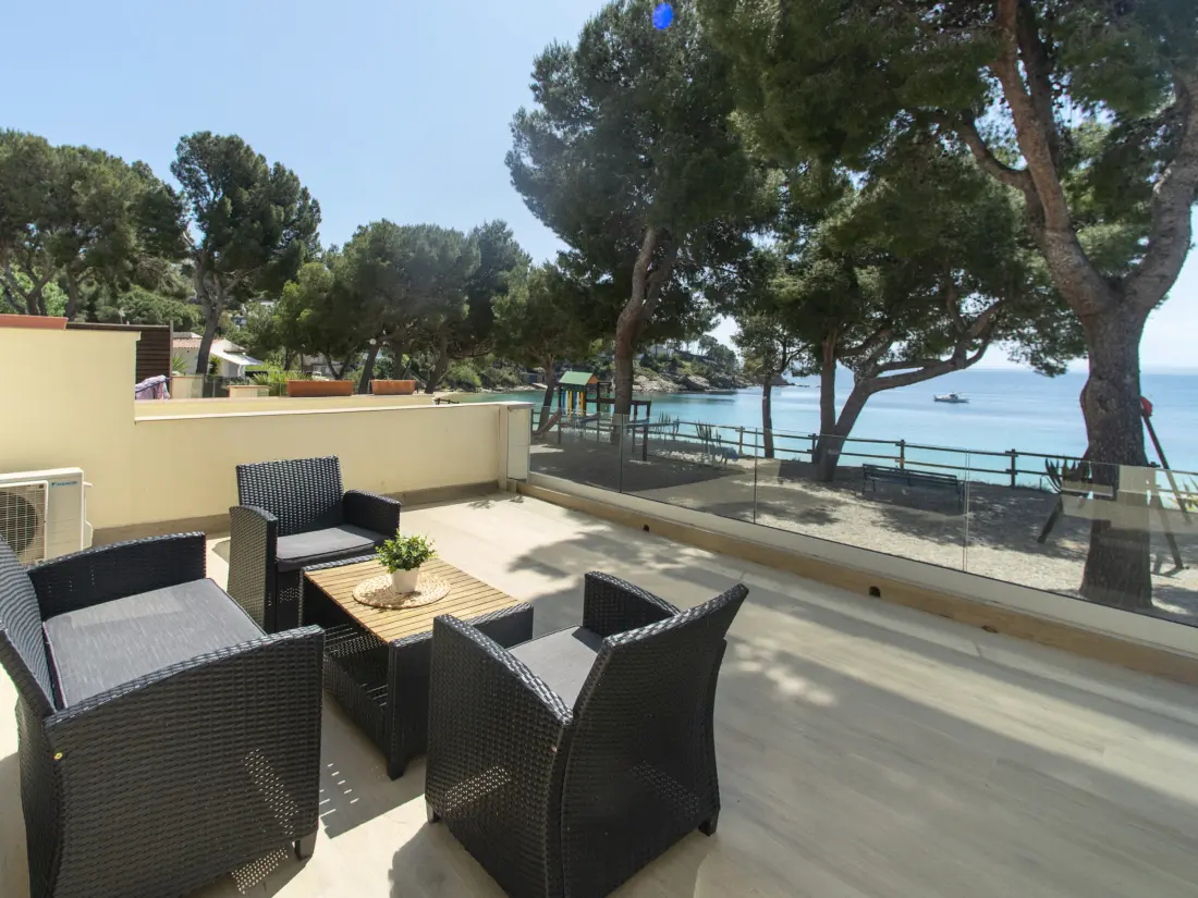 Location de Vacances Roses 1346