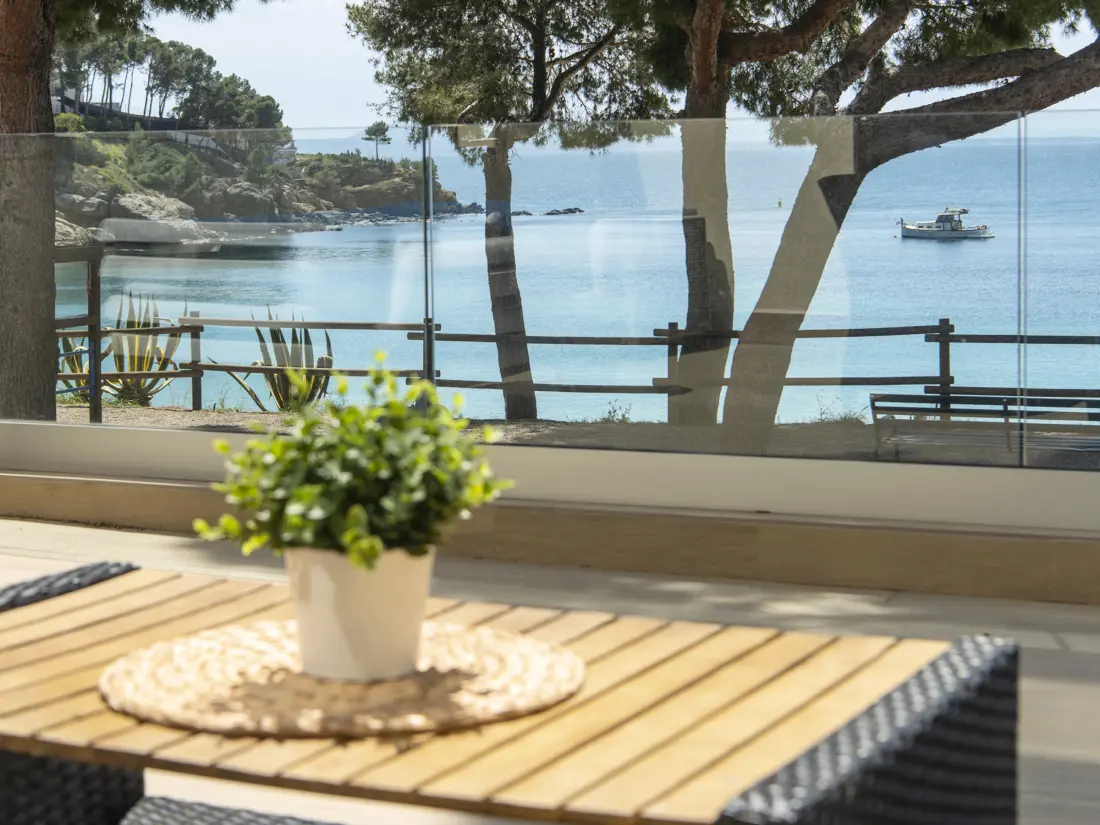 Location de Vacances Roses 1346