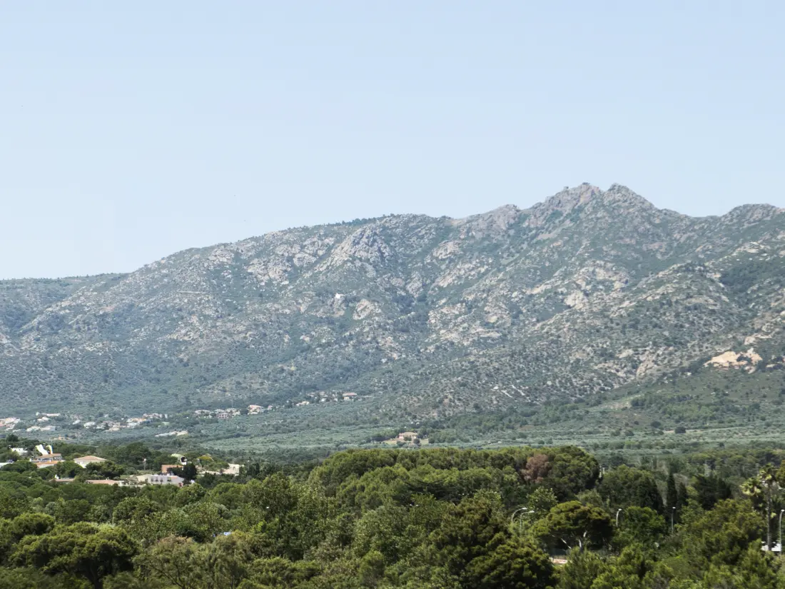 Location de Vacances Roses 1347