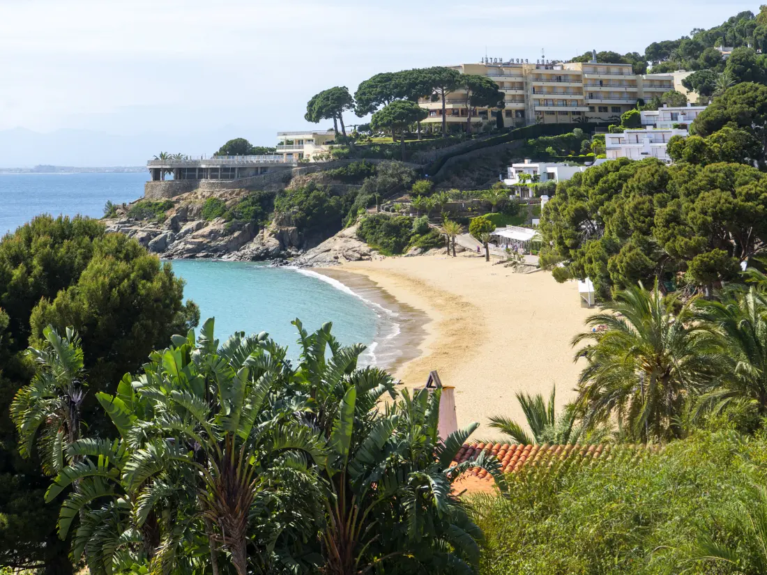 Location de Vacances Roses 1348