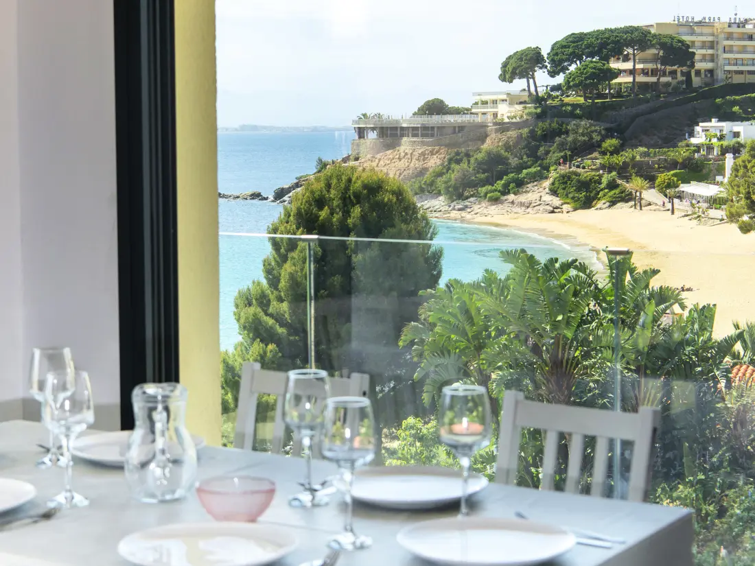 Location de Vacances Roses 1348