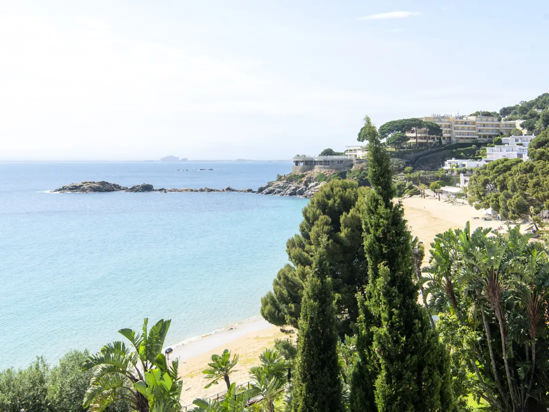Location de Vacances Roses 1348
